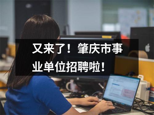 又来了!肇庆市事业单位招聘啦!