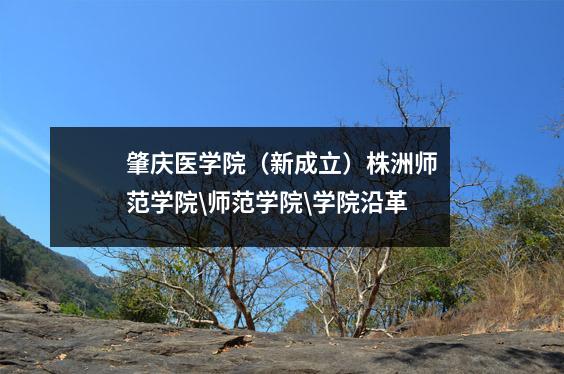 肇庆医学院(新成立)株洲师范学院\师范学院\学院沿革