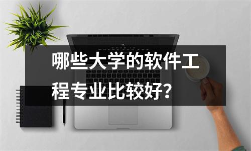 哪些大学的软件工程专业比较好?