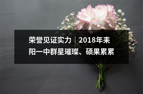 荣誉见证实力|2018年耒阳一中群星璀璨、硕果累累