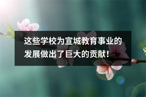 这些学校为宣城教育事业的发展做出了巨大的贡献!