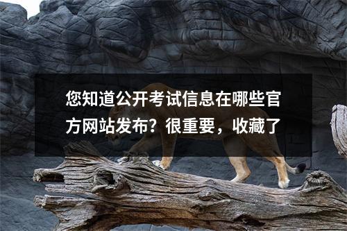 您知道公开考试信息在哪些官方网站发布?很重要,收藏了