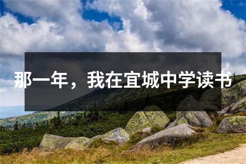 那一年,我在宜城中学读书