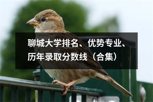 聊城大学排名、优势专业、历年录取分数线(合集)