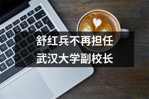 舒红兵不再担任武汉大学副校长