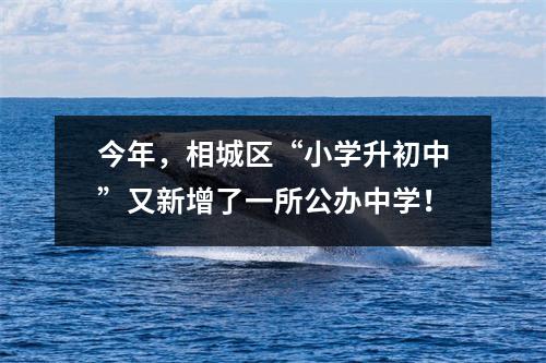 今年,相城区“小学升初中”又新增了一所公办中学!