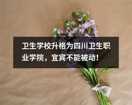 卫生学校升格为四川卫生职业学院,宜宾不能被动!
