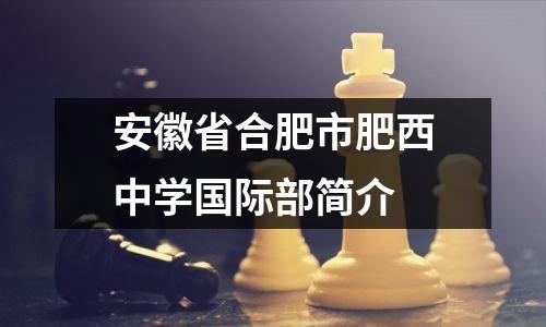 安徽省合肥市肥西中学国际部简介
