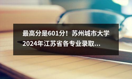 最高分是601分!苏州城市大学2024年江苏省各专业录取情况