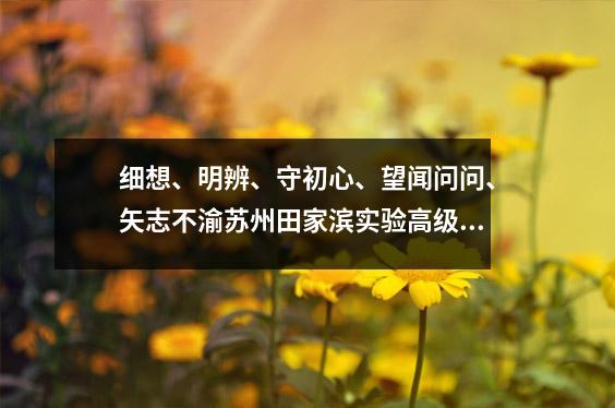 细想、明辨、守初心、望闻问问、矢志不渝苏州田家滨实验高级中学