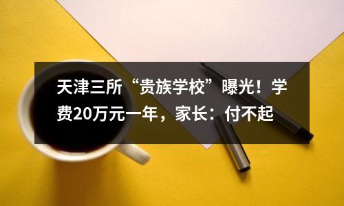 天津三所“贵族学校”曝光!学费20万元一年,家长:付不起
