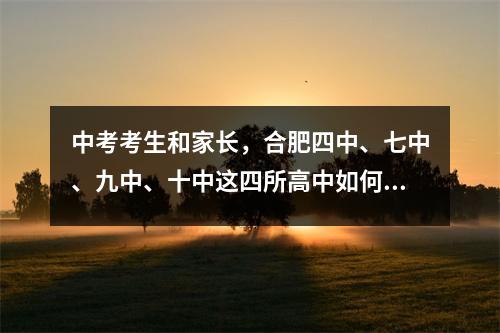 中考考生和家长,合肥四中、七中、九中、十中这四所高中如何选择?