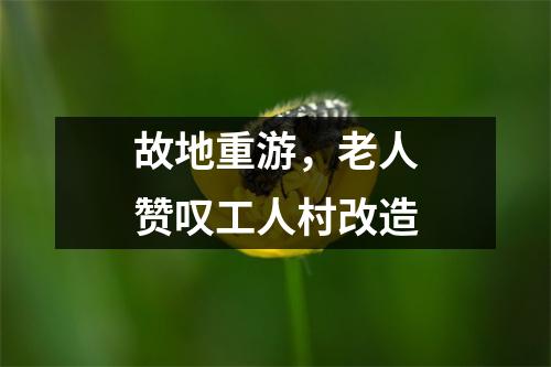 故地重游,老人赞叹工人村改造