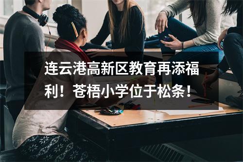 连云港高新区教育再添福利!苍梧小学位于松条!