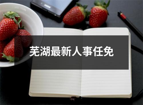 芜湖最新人事任免