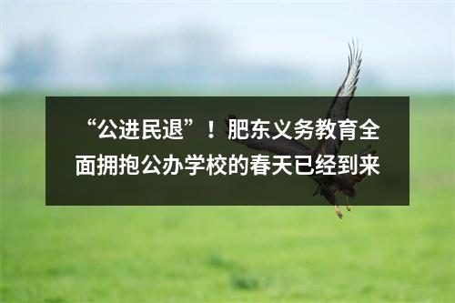 “公进民退”!肥东义务教育全面拥抱公办学校的春天已经到来