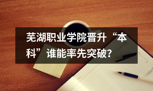 芜湖职业学院晋升“本科”谁能率先突破?