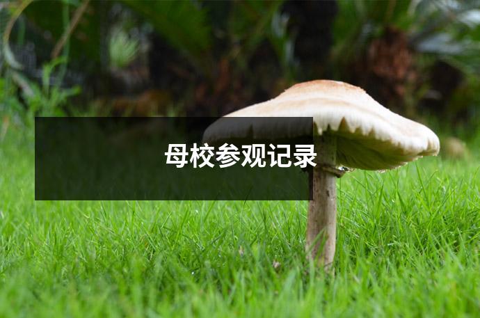 母校参观记录
