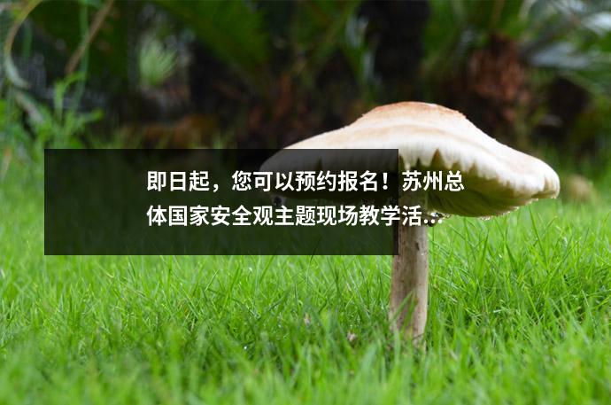 即日起,您可以预约报名!苏州总体国家安全观主题现场教学活动正式启动