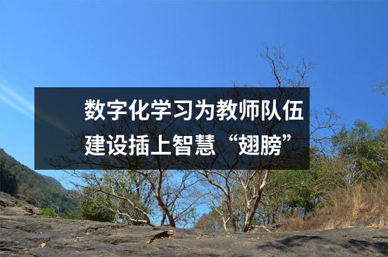 数字化学习为教师队伍建设插上智慧“翅膀”