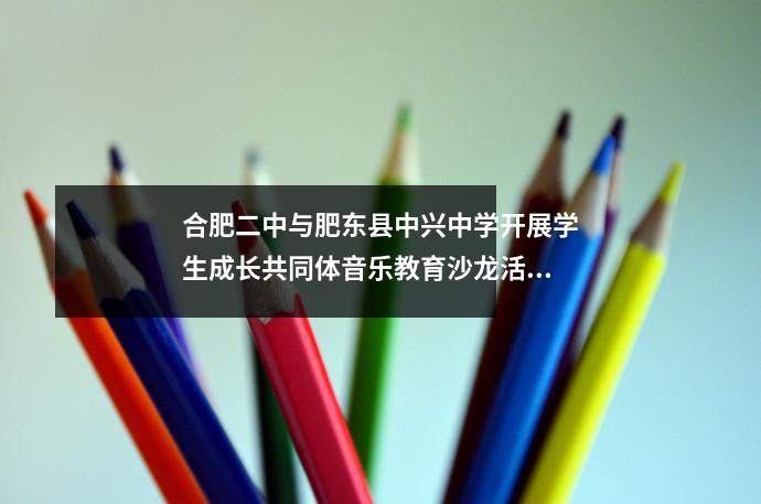 合肥二中与肥东县中兴中学开展学生成长共同体音乐教育沙龙活动