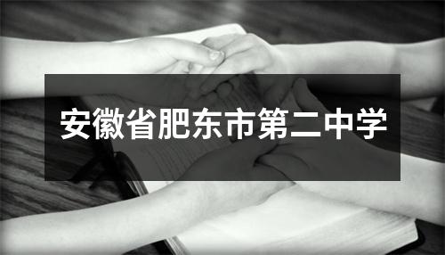 安徽省肥东市第二中学