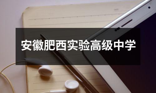 安徽肥西实验高级中学