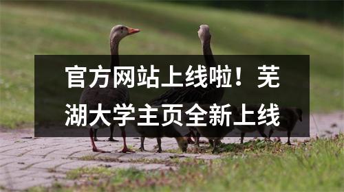 官方网站上线啦!芜湖大学主页全新上线