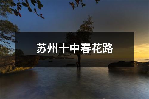 苏州十中春花路