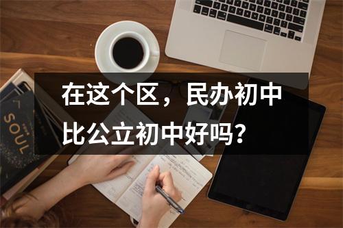 在这个区,民办初中比公立初中好吗?