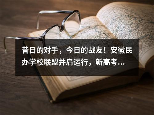 昔日的对手,今日的战友!安徽民办学校联盟并肩运行,新高考下提速