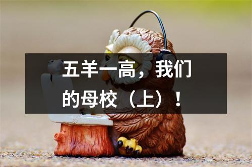 五羊一高,我们的母校(上)!