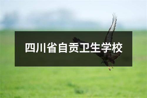 四川省自贡卫生学校