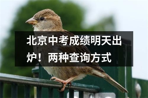 北京中考成绩明天出炉!两种查询方式
