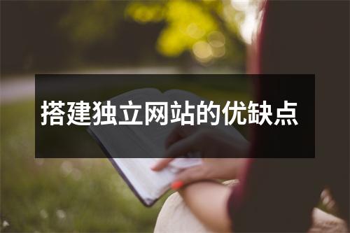 搭建独立网站的优缺点