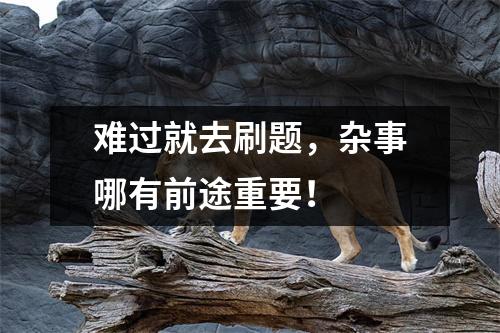 难过就去刷题，杂事哪有前途重要！