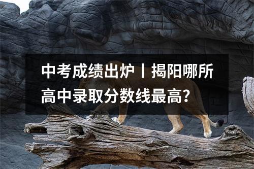 中考成绩出炉丨揭阳哪所高中录取分数线最高?