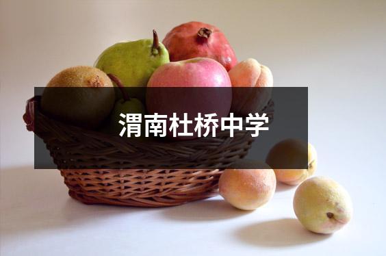 渭南杜桥中学