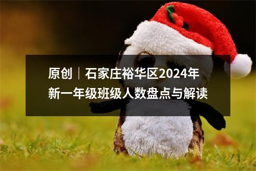 原创|石家庄裕华区2024年新一年级班级人数盘点与解读
