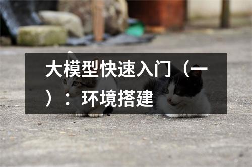 大模型快速入门（一）：环境搭建  