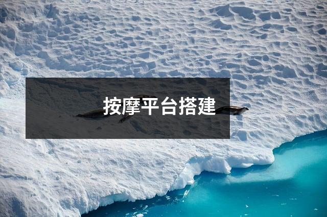 按摩平台搭建  