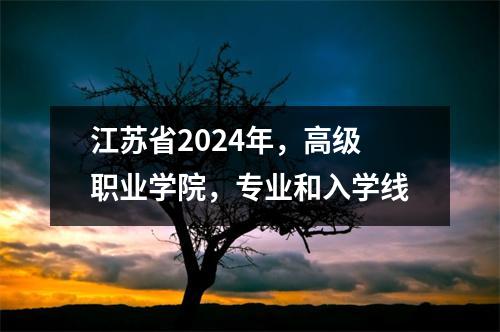 江苏省2024年,高级职业学院,专业和入学线