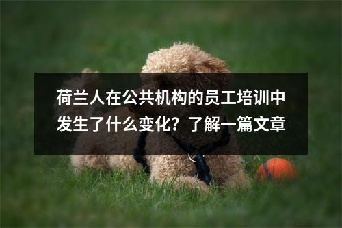 荷兰人在公共机构的员工培训中发生了什么变化？了解一篇文章