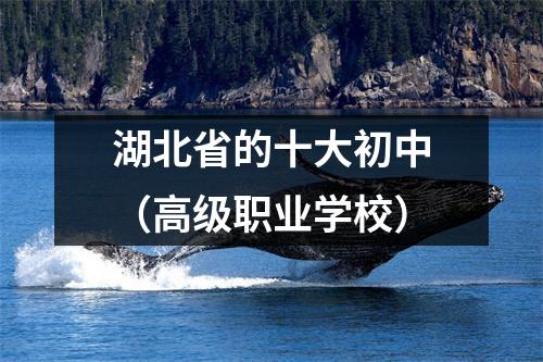 湖北省的十大初中(高级职业学校)