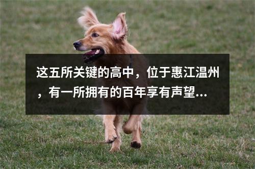 这五所关键的高中,位于惠江温州,有一所拥有的百年享有声望的学校