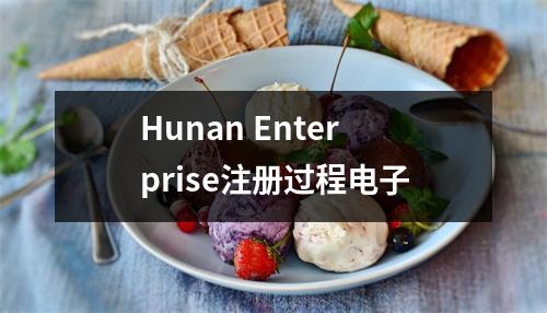 Hunan Enterprise注册过程电子
