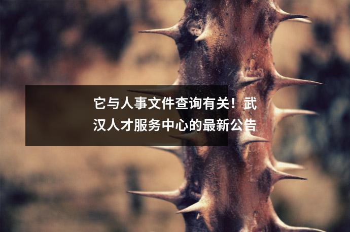 它与人事文件查询有关！武汉人才服务中心的最新公告