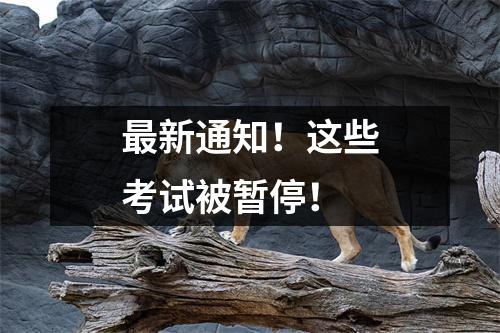 最新通知!这些考试被暂停!
