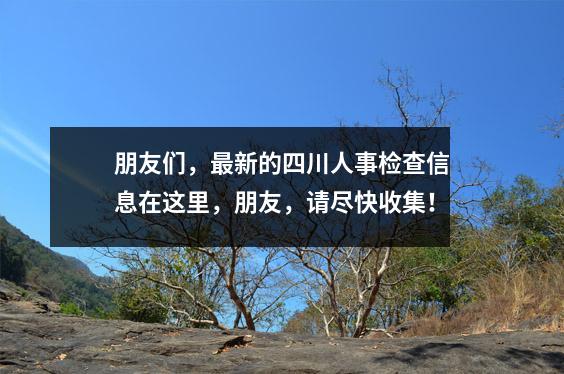 朋友们,最新的四川人事检查信息在这里,朋友,请尽快收集!