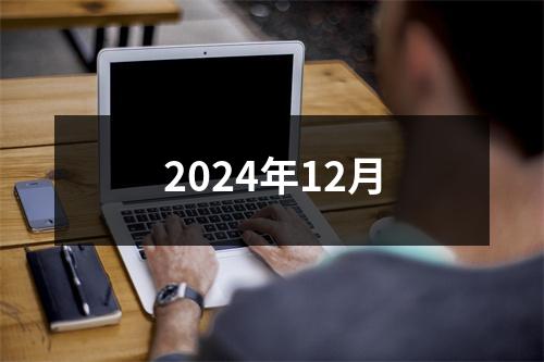 2024年12月